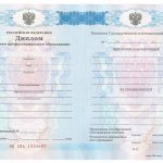 диплом ссуза 2011-2013